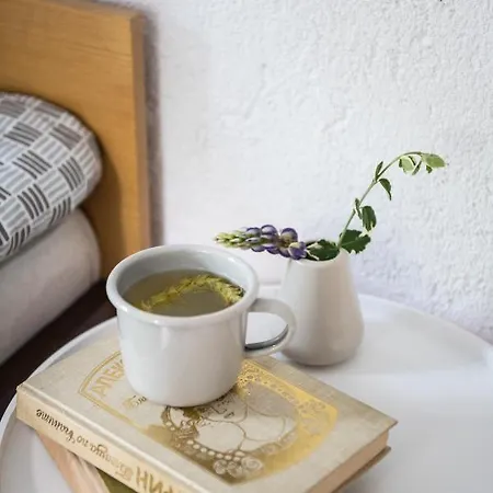 къща до гората 招待所 3*