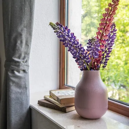 къща до гората Pensiune 3*