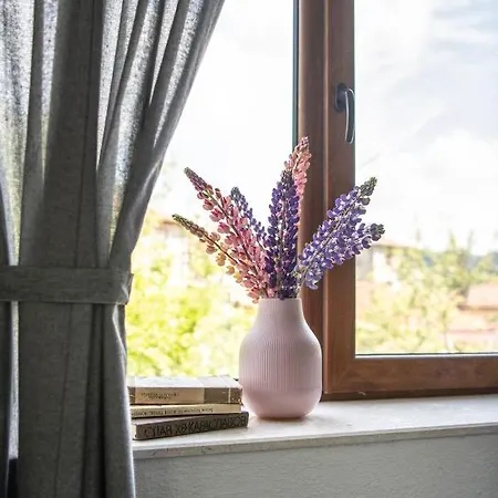 къща до гората Pensiune 3*