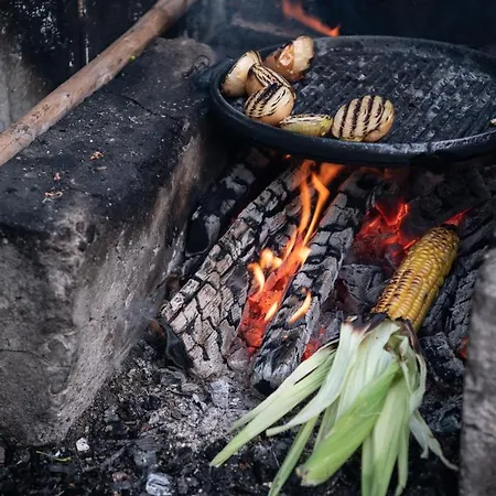 招待所 къща до гората