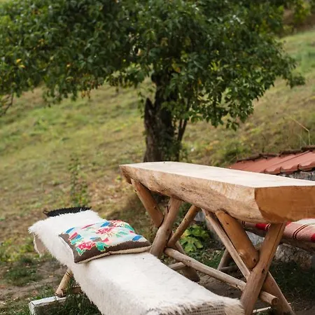 招待所 къща до гората 特里格拉德