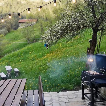 къща до гората 3* 特里格拉德